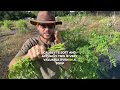 Moringa Training Day | Making Extra Income at the Farmers Market | MoringaFest25