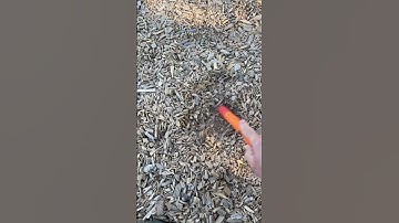 Would You Dig It? Minelab Manticore Update adds RED Target ID