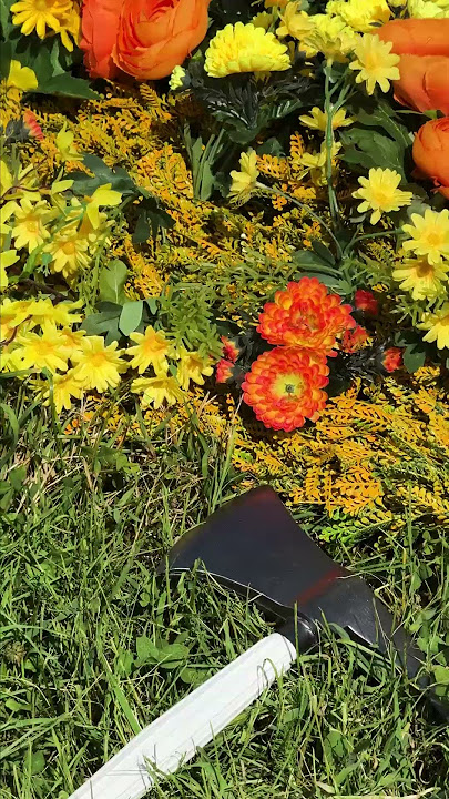 The Hunger Games: Sunrise on the Reaping – now in production.
