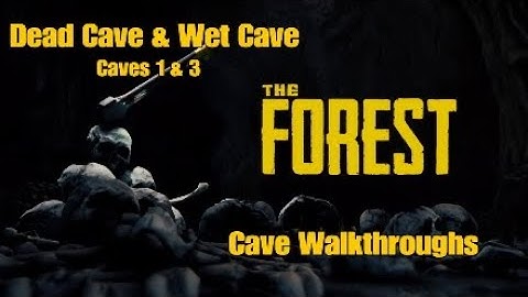 The Forest | Cave Walkthroughs [Dead Cave & Wet Cave] [Caves 1 & 3] [PS4 Patch 1.08]