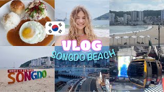 Выходные студента в Пусане! Songdo beach | #southkorea #songdo #busan