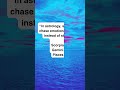 You Don’t Have Bad Luck In Love… You Repeat This #facts #short #tranding #vlog #reels #tiktok