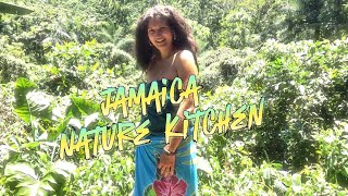 Our New Jamaica Nature Kitchen Intro 