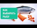 Как выбирать рыбу? Практические советы.