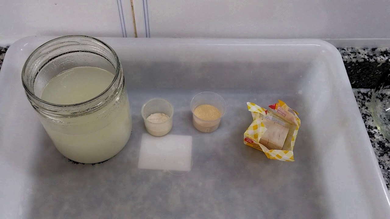 Medio de cultivo para micelio y esporas de hongos