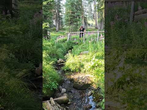 Sound Avenue Nature Preserve Reviews