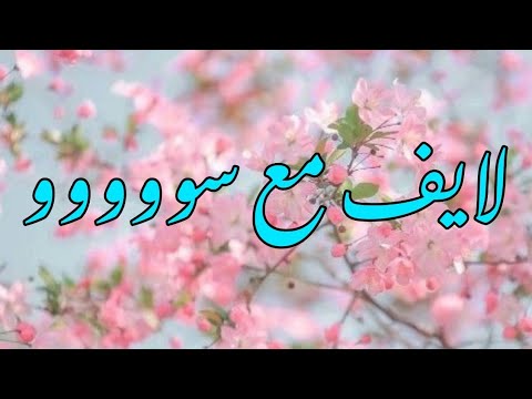 الرد على العبيط بيعملو سيط