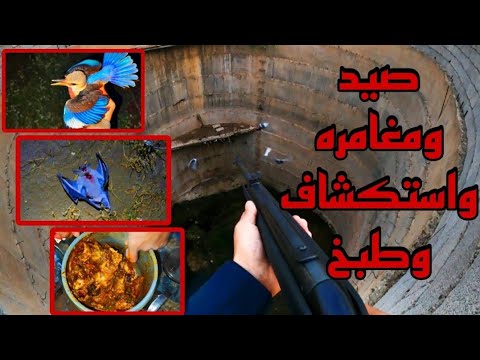 فلوق العيش في البريه الجزء 11