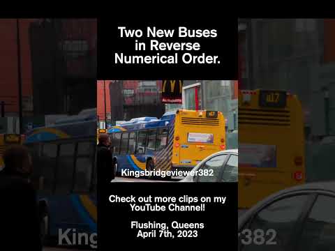 Tow Authority Automotive Inc Bronx Ny