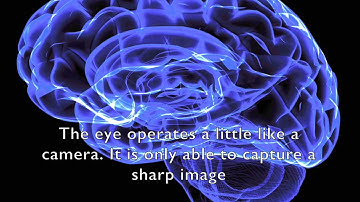 How your eye moves when you read