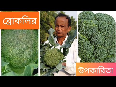 ভিডিও: ব্রোকলির স্বাস্থ্য উপকারিতা