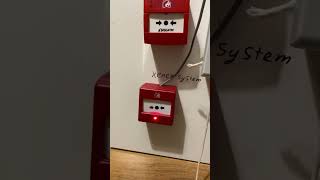 System test 3 Ctec
