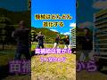 Kubota NW8S GS 田植え機　田植え作業#farming #現代農業 #automobile #kubota