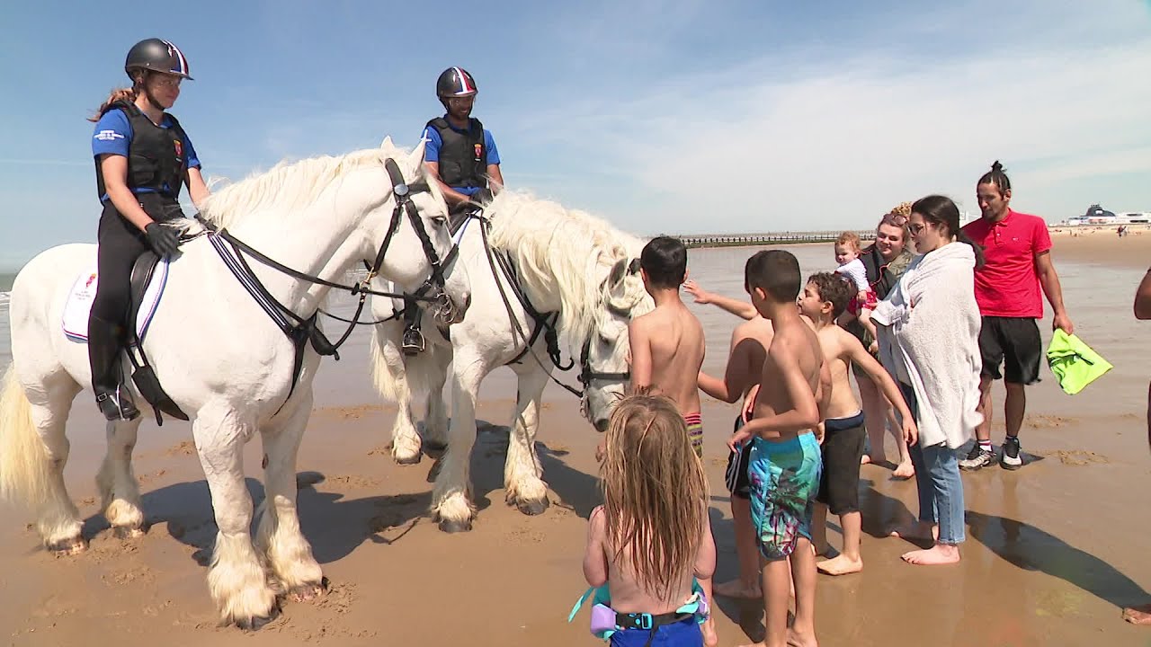 Des chevaux de trait boulonnais en patrouille sur la plage de Calais.