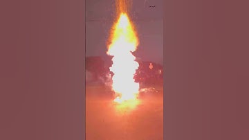 5 inch coconut display shell Color firework