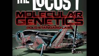 Watch Locust Spitting In The Faces Of Fools As A Source Of Nutrition video