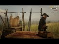 Quick update about RDR2 Online