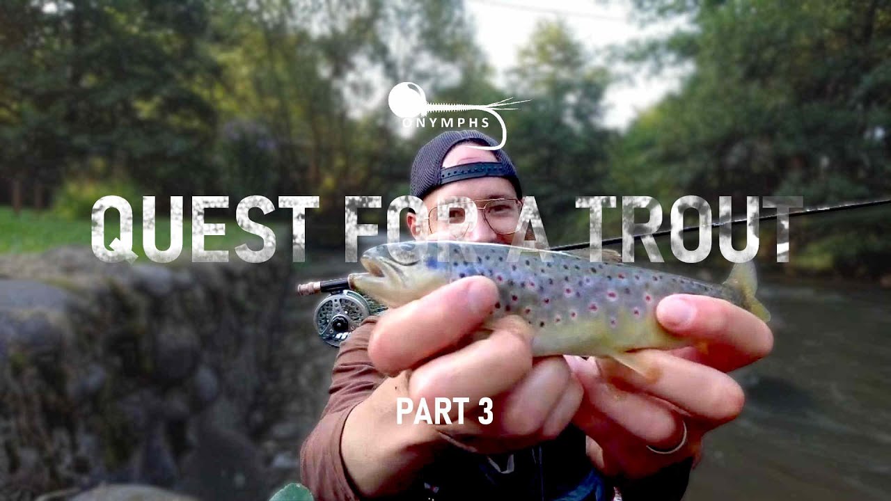 Quest for a Trout 3/3 - Fly fishing Transylvania, Romania