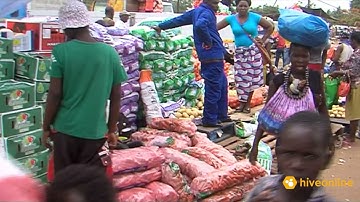 hiveonline product video