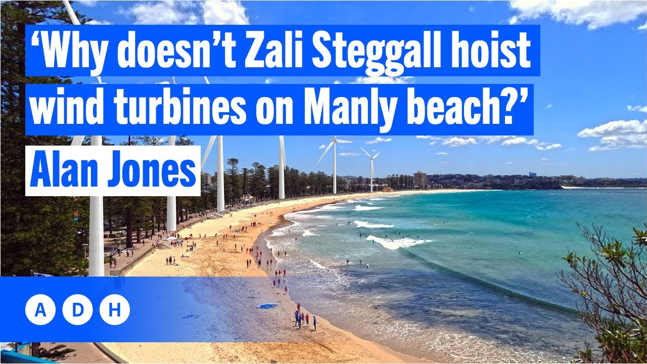 ⁣‘Why doesn’t Zali Steggall hoist wind turbines on Manly Beach?’ | Alan Jones