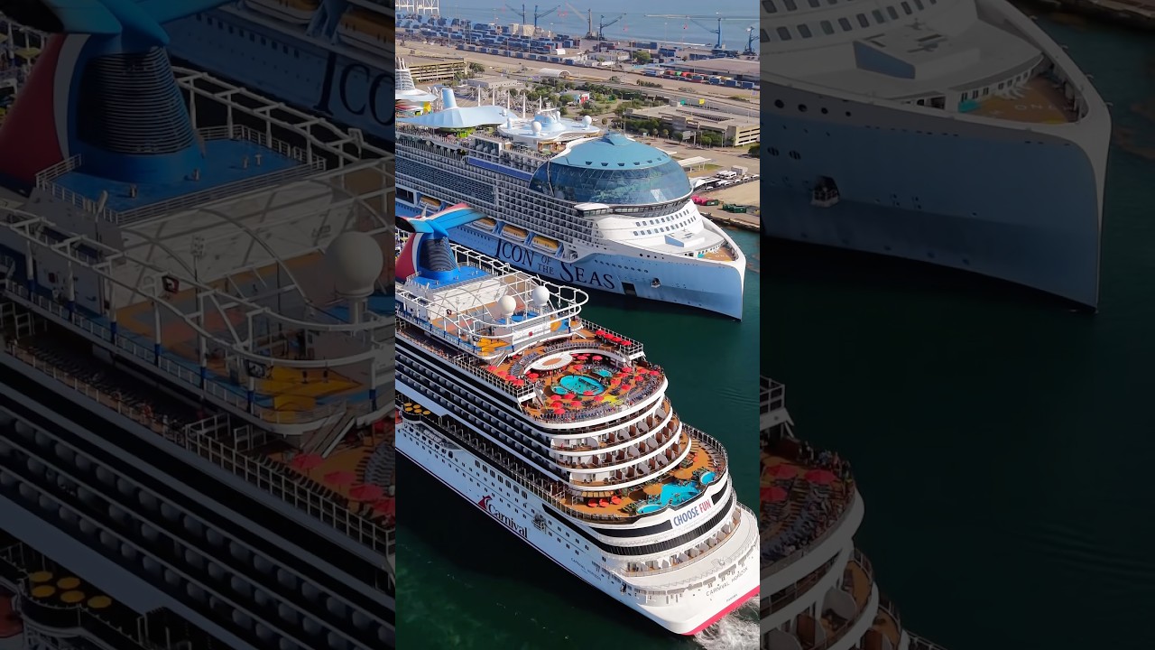 Two giants side by side 🤯 #cruiseship