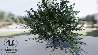 Unreal Engine - 6 (SpeedTree & Tree Modelling)