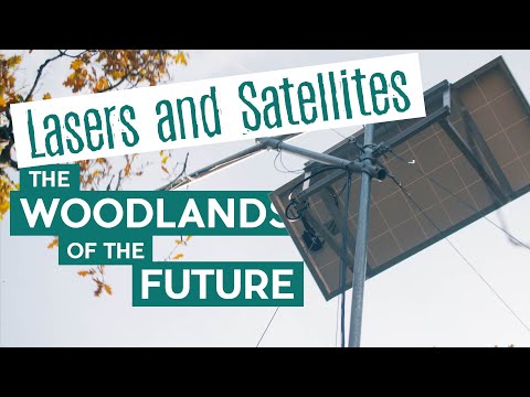 Lasers and Satellites, the Woodlands of the Future | Wytham Woods