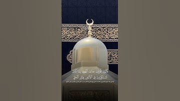 تلاوة خاشعة للشيخ #بدر_التركي من #سورة_الأحقاف
