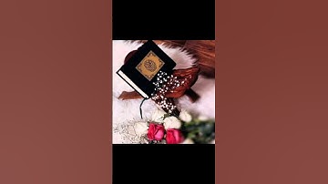 احترم القران الكريم ✨ #تلاوة_قرآن