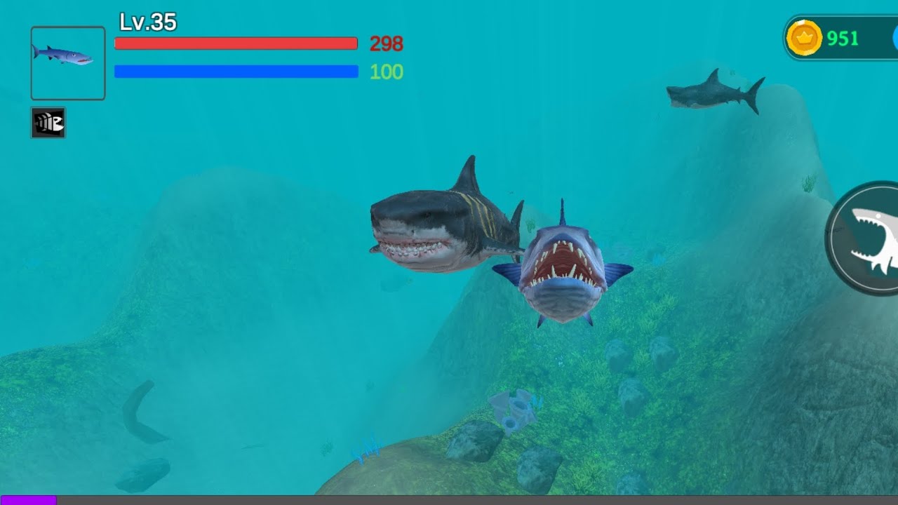 Kekuatan barkuda yang sangat kuat🔥🔥🔥🔥🔥🔥🔥