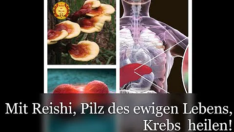 Hat Reishi Nebenwirkungen?