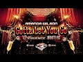 Amanda Wilson - Gotta Let You Go ( Dj Sequence Bootleg )