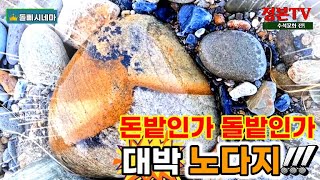 605.돈밭인가 돌밭인가 대박! 노다지!!! #자연다큐 #수석탐석