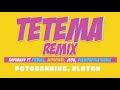 Tetema International Rx Rayvanny Ft Pitbull Mohombi Patoranking Zlatan Joen Diamond Platnumz 