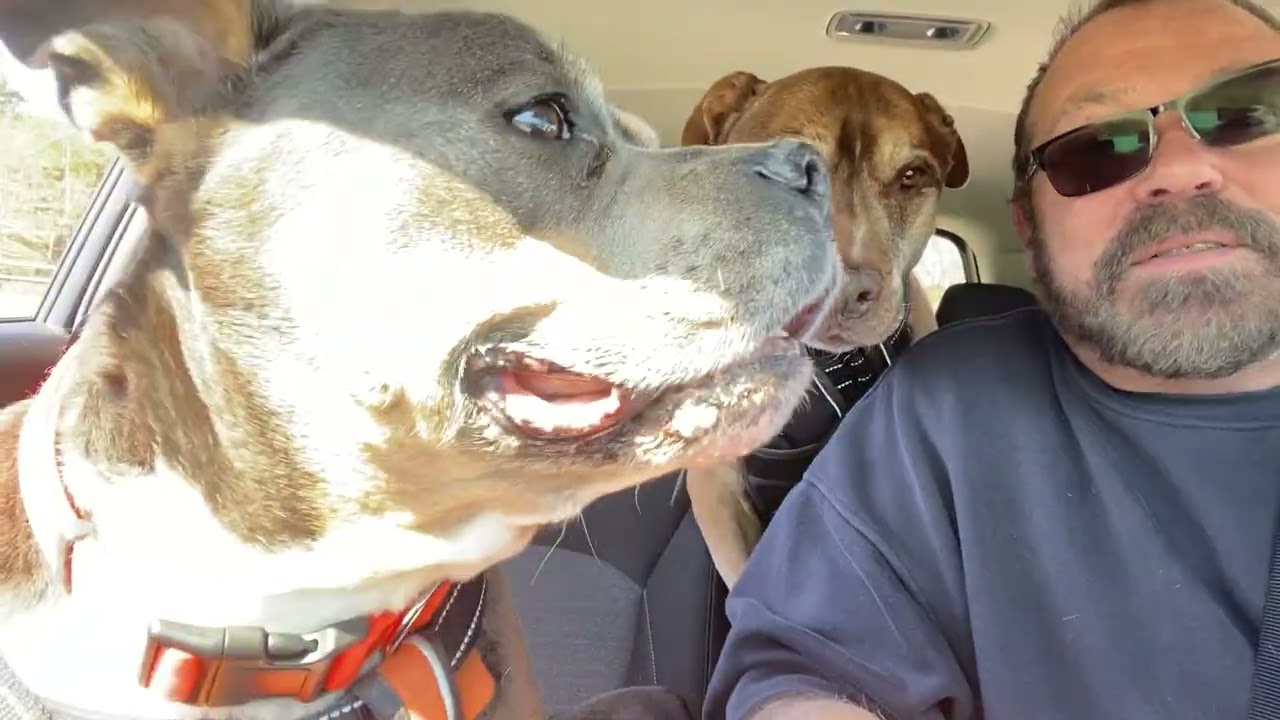 KRUEGER AND JERRY LEE AT THE PARK 