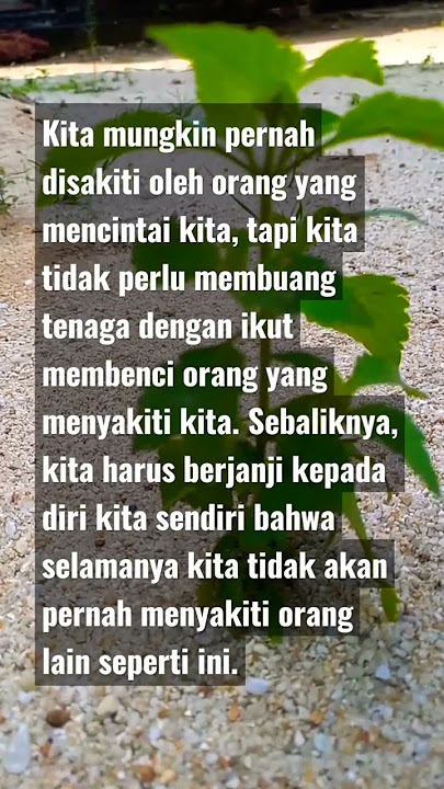 quotes ‼️ Kita tidak perlu membenci orang yang menyakiti kita #shorts #quotes #storywa