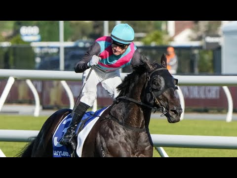 LIVE REACTION | Antino wins the Toorak Handicap courtesy …