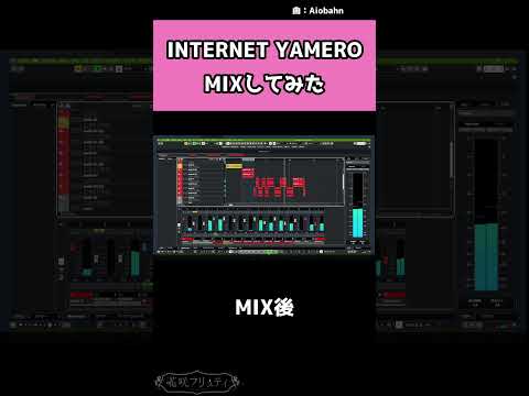 INTERNET YAMERO ｻﾋﾞだけMIXｼﾘｰｽﾞ DTM Shorts 