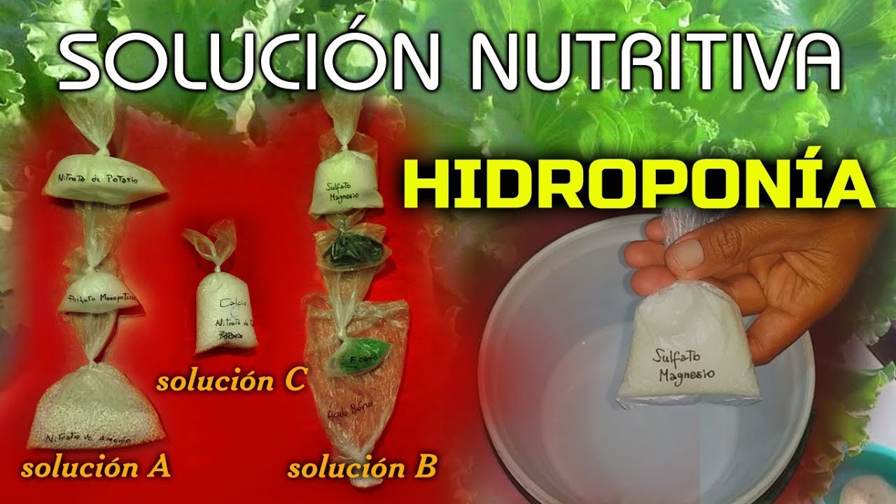 evolución A rayas hospital PREPARACIÓN DE SOLUCIÓN NUTRITIVA HIDROPÓNICA CONCENTRADA - YouTube