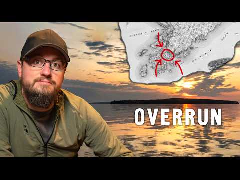 Why Is This Wisconsin Island Overrun By Bears?