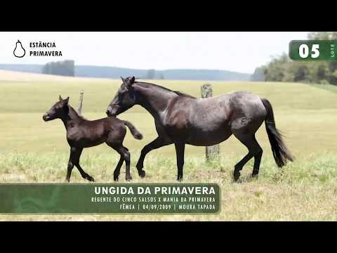 LOTE 05 - Ungida da Primavera