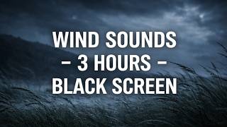 Relax Instantly: Calming Wind Sounds (3 Hours, Black Screen) | Relaxing ASMR | for Insomnia Relief