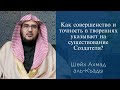 Как совершенство и точность в творениях указывает на существование Создателя? | Шейх Ахмад аль-Къады