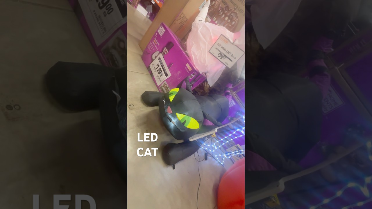 HALLOWEEN LIFE SIZE GIANT BLACK CAT INFLATABLES BLOW UP HALLOWEEN DECOR  