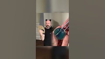 Cats not understanding how their own claws work #comedy #fyp