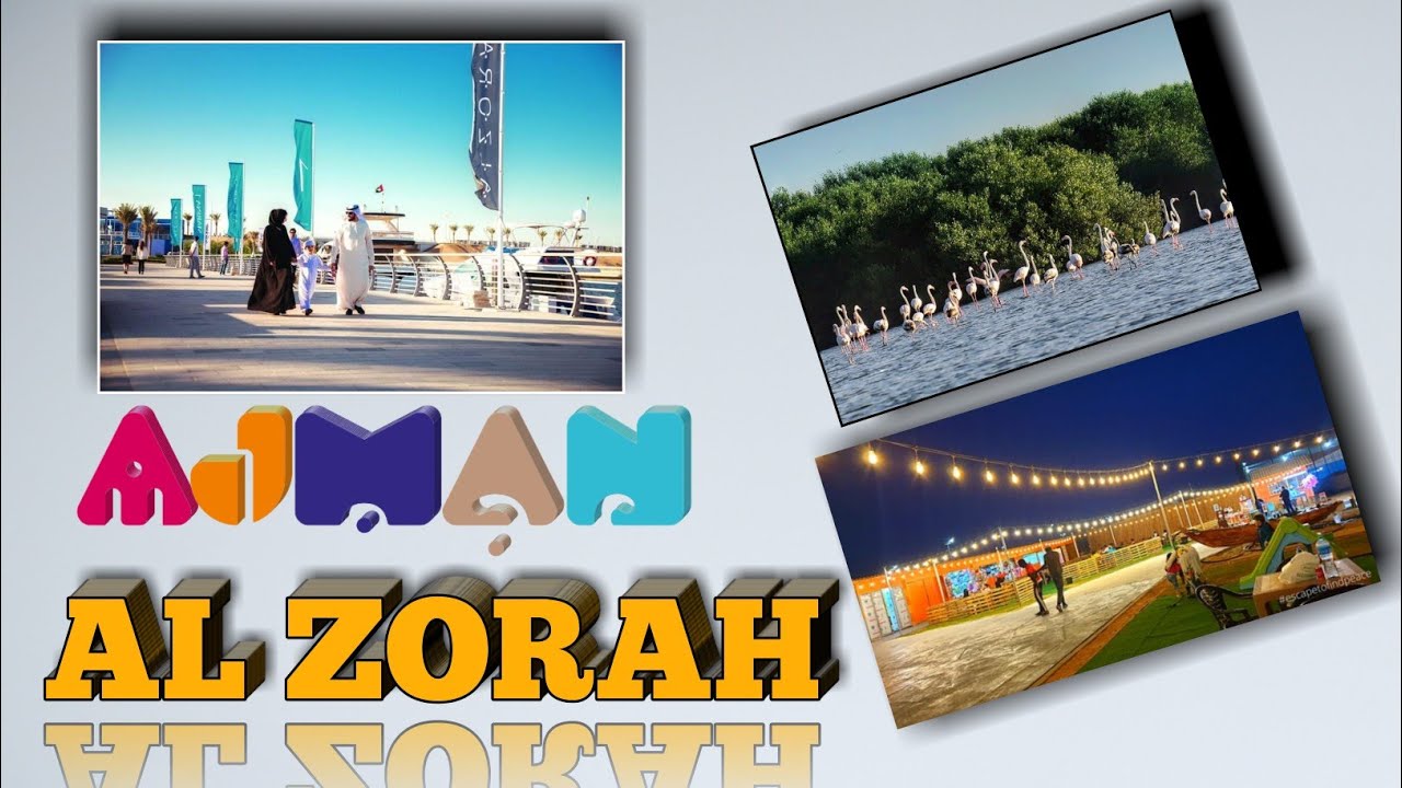 AJMAN ZORAH |MANGROVE ISLAND|SALAM DESIGN|AJMAN MARINA 1