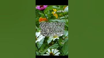 سوره بقره #quran القرآن الكريم #status #dua