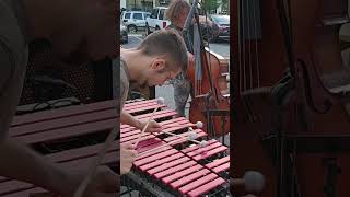 Windows (Chick Corea) vibraphone trio #jazz #vibraphone #shorts #youtubeshorts