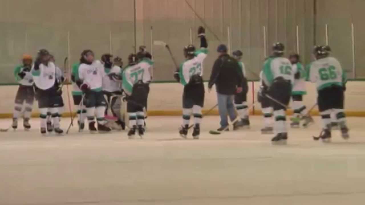 Freeze Hockey 2014 (toys in the attic) YouTube