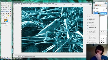 Cross Processing two colors in Gimp